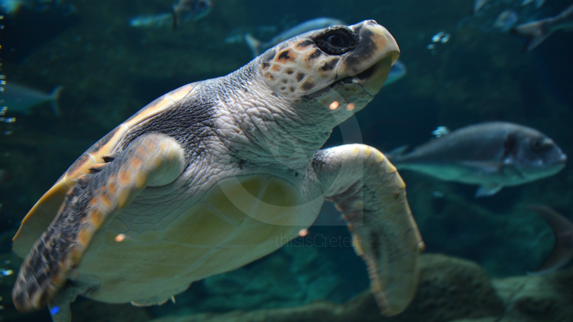 Προορισμός της ημέρας